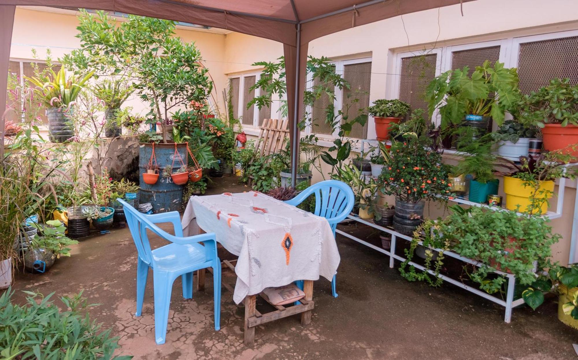 Faraja Homestay- Seamless Comfort In The Heart Of The City - Free Wifi, Warm Hospitality, And Local Delights Await 莫希 外观 照片